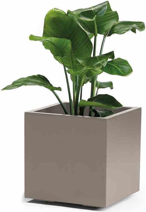 Image du produit Euro3plast Kébé (39.50 cm)
