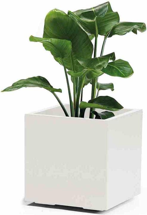Produktbild Euro3plast Pflanzkübel (39.50 cm)
