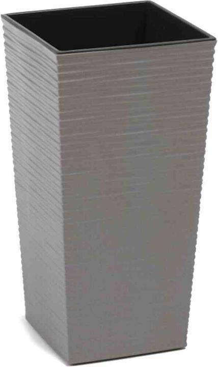Grey groove