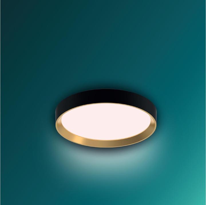Image du produit Philips Hanno (2700 lm)