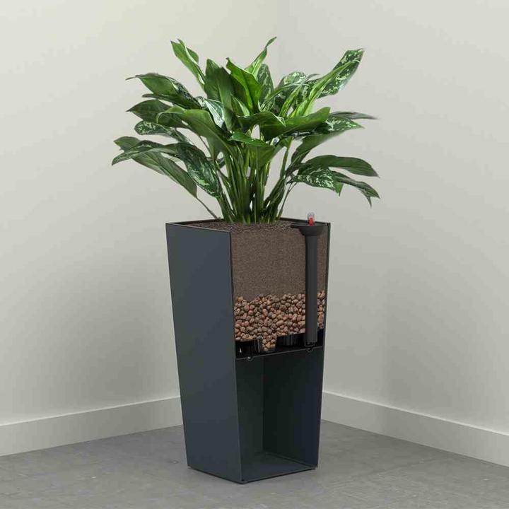 Image du produit Siena Garden Modern (25 cm)