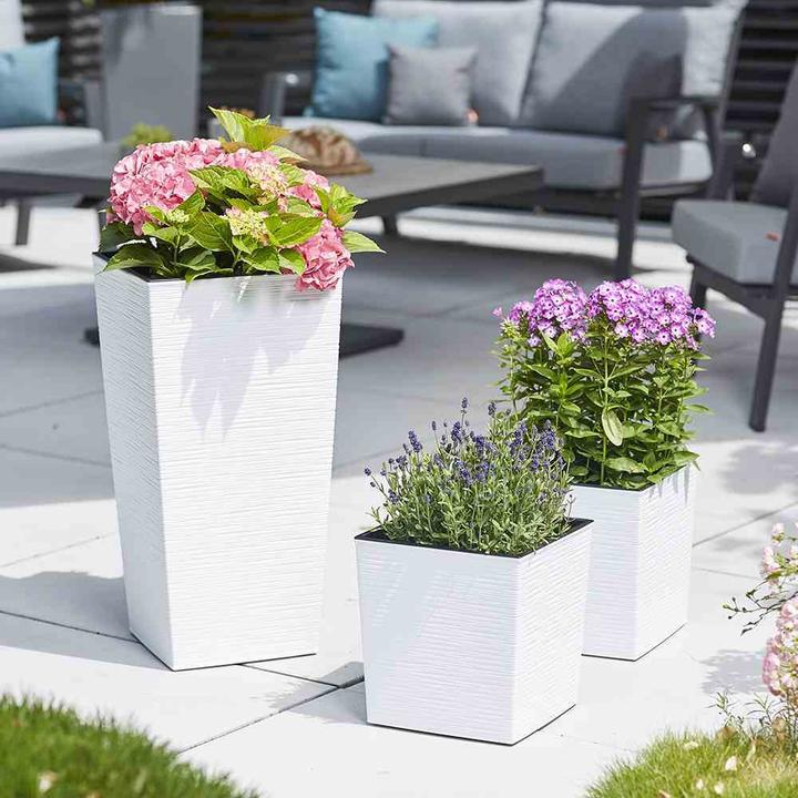 Actual product image Siena Garden Modern (25 cm)