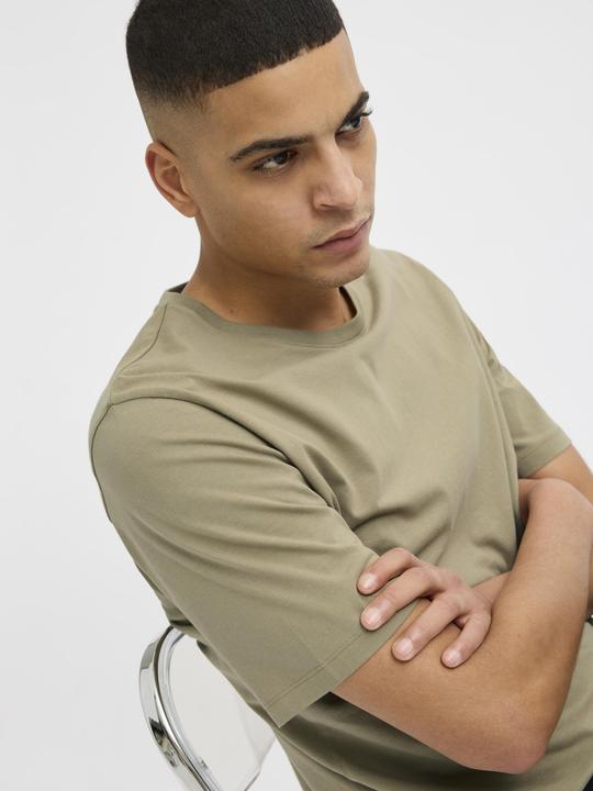 Immagine prodotto Jack & Jones Jjeorganic Basic Tee Ss O-Neck Noos (L)