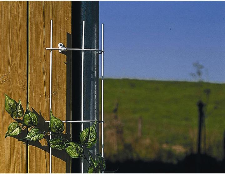 Produktbild Siena Garden Fallrohrspalier (150 cm, 245 cm)