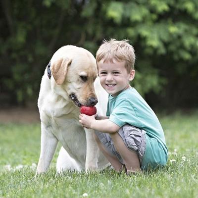 Image du produit KONG Classic (Apporter, Jouet alimentaire pour chien, Jouet à lancer chien)