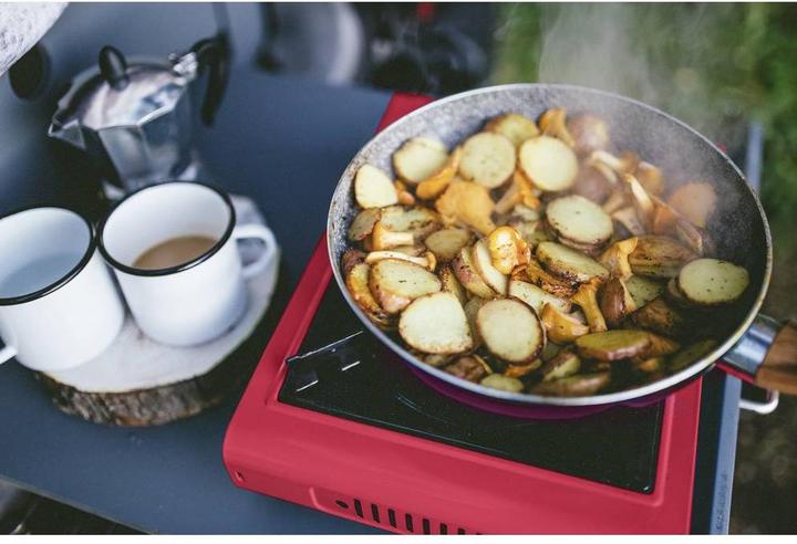 Produktbild Rothenberger Industrial Gas Camping Kocher Gourmet Piezo RS 220 1500003730 Edelstahl