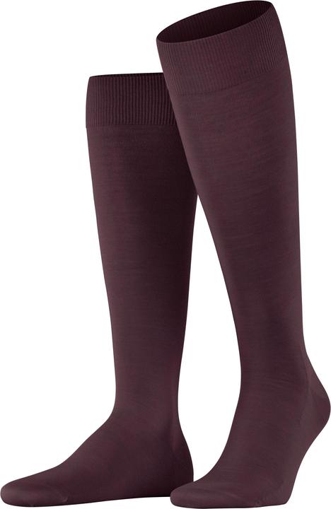 Actual product image Falke Clima Wool (43 - 44)