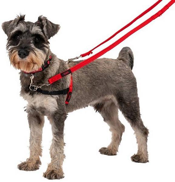 Produktbild Company of Animals Halti Antizug S Front Control (S, Hund, Allgemein)
