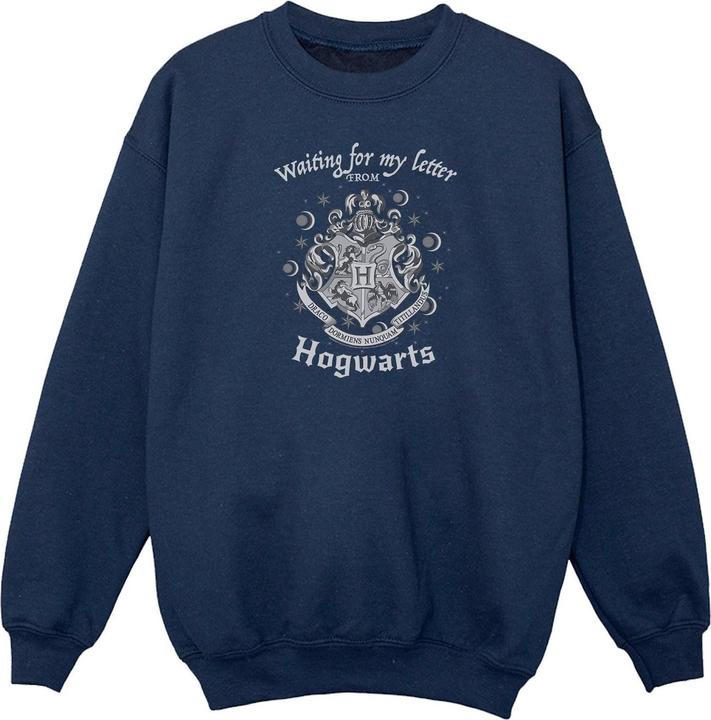 Produktbild Hogwarts Waiting For My Letter Sweatshirt Jungen (140, 146)