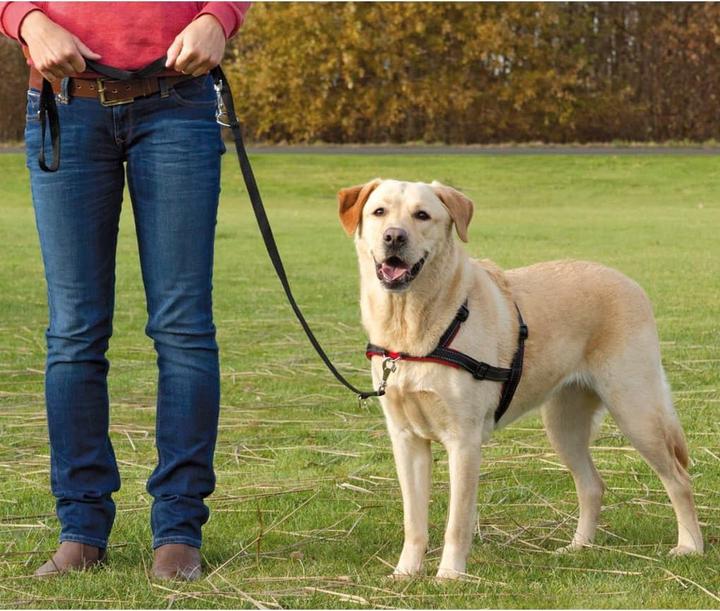 Produktbild Trixie Lead n Walk Ausbildungsgeschirr L-XL (L, XL, Hund, Allgemein)