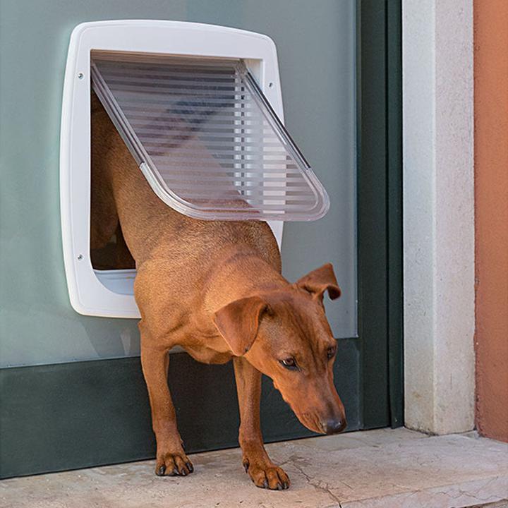 Actual product image Ferplast Swing 12 (Manual cat flap)