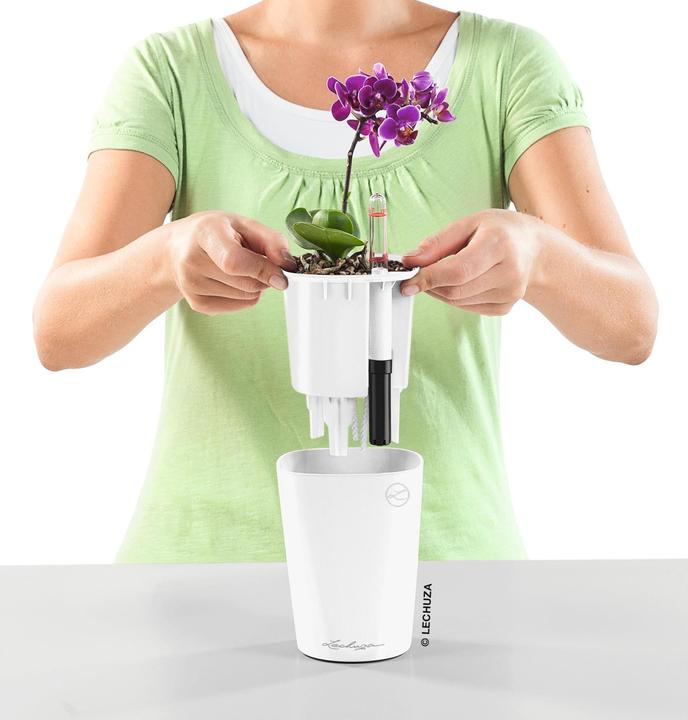 Produktbild Lechuza Mini Deltini (10 cm)