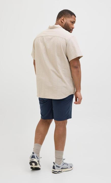Produktbild Jack & Jones Plus Size Regular Fit Chino Shorts Chino Shorts (40)