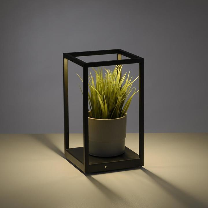 Actual product image Paul Neuhaus Contura (140 lm)