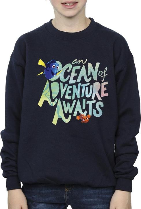 Image du produit Disney - Sweat FINDING DORY OCEAN OF ADVENTURE - Garçon (152, 158)