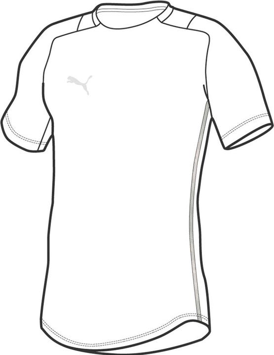 Puma teamCUP Casuals Tee-657975
