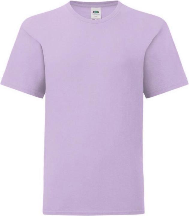 Actual product image Fruit of the Loom Childrens/Kids Iconic T-Shirt (152)