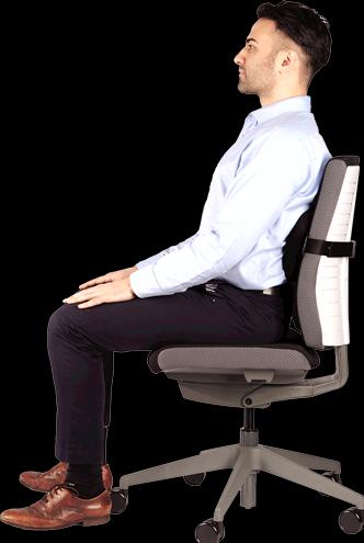 Immagine prodotto Fellowes Supporto per la schiena Plush Touch