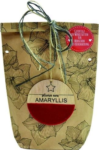Actual product image Wunderle Good luck bag Get well soon (Gift box, 1 x)
