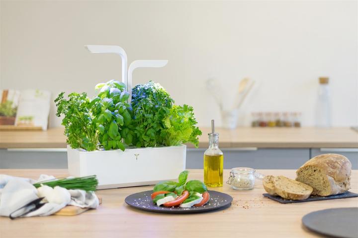 Produktbild Véritable Classic (18.50 cm)