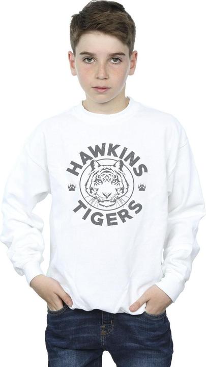 Actual product image Netflix Boys Stranger Things Hawkins Grey Tiger Sweatshirt (140, 146)