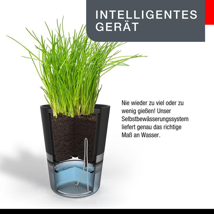 Immagine prodotto GEFU Botanico (14.20 cm)