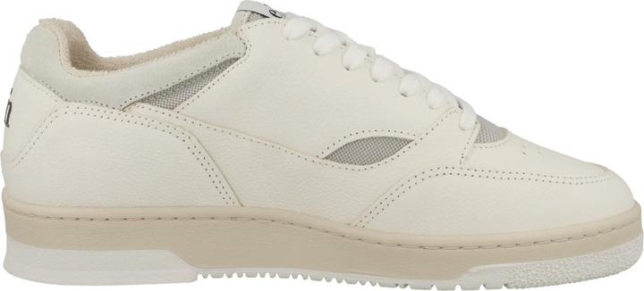 Produktbild ekn Yucca - 62955 (41)