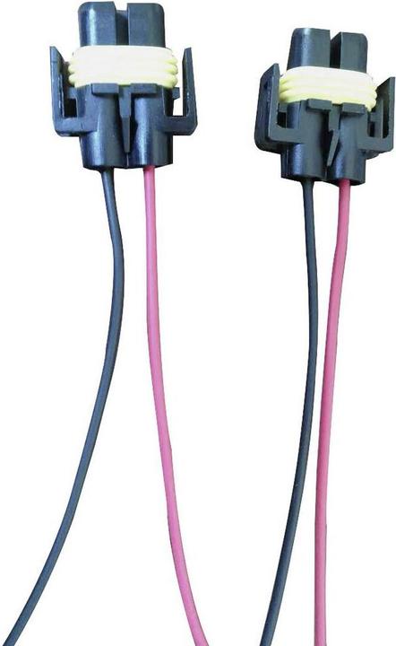 Image du produit SecoRüt Douille de lampe halogène (H11, H8)