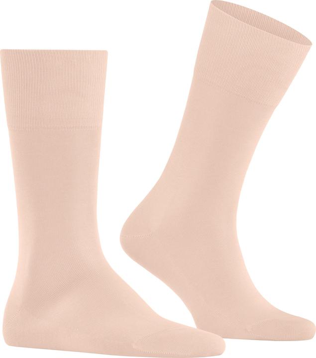 Actual product image Falke Tiago Men (41 - 42)