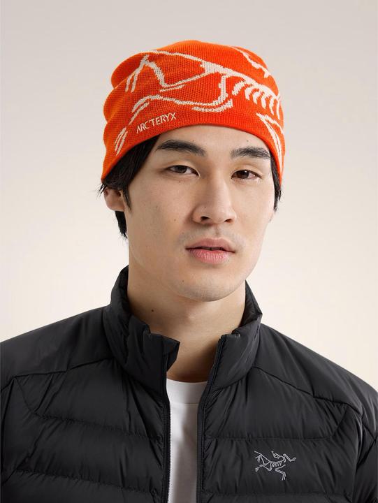 Produktbild Arc'teryx Bird Head