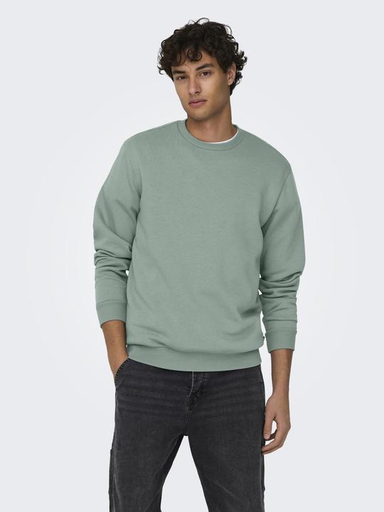 Produktbild Only & Sons Onsceres Crew Neck Noos (S)