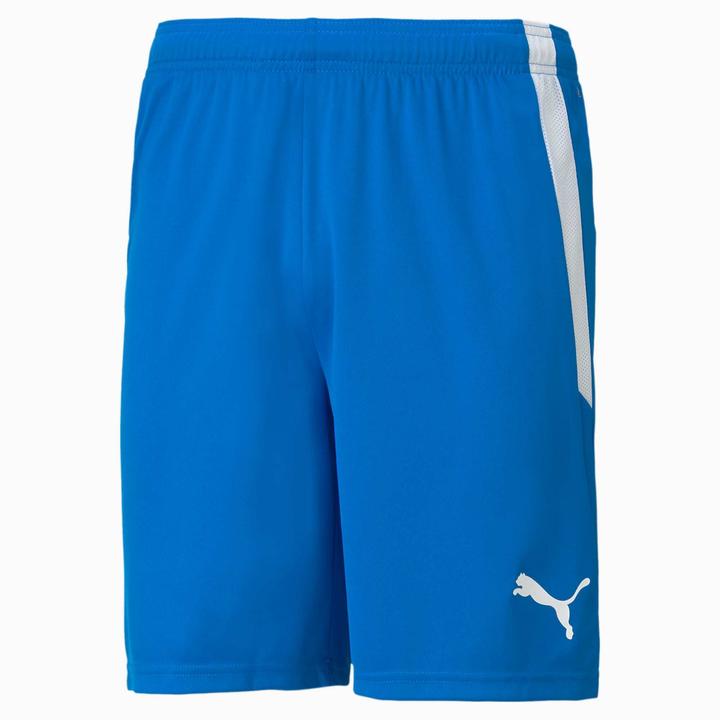 Actual product image Puma teamLIGA Shorts-704924 (48 E)