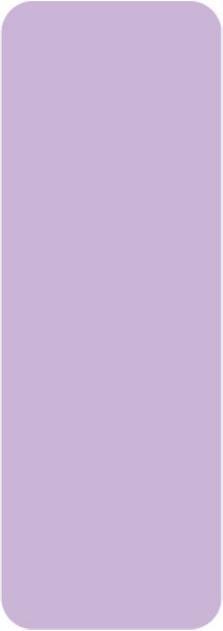 Niimbot Naklejki Termiczne 14x40 160 szt. (Purpurowe)