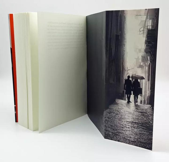 Image du produit Eine Liebe in Neapel (Allemand, Heddi Goodrich, 2020)