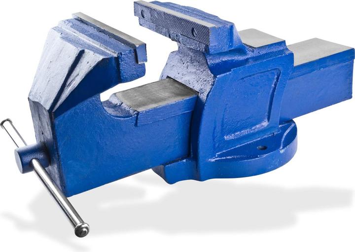 Actual product image Dema Vice 'Profi ' solid cast iron 200mm 36kg (200 mm)