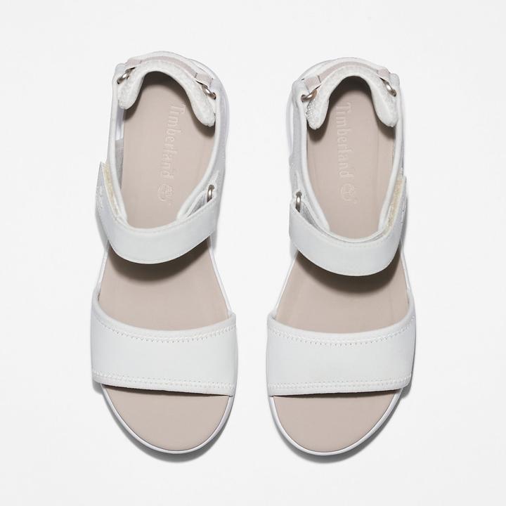 Timberland Los Angeles Wind Sporty (41)