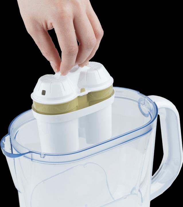 Actual product image BWT Filter cartridges (3 x)