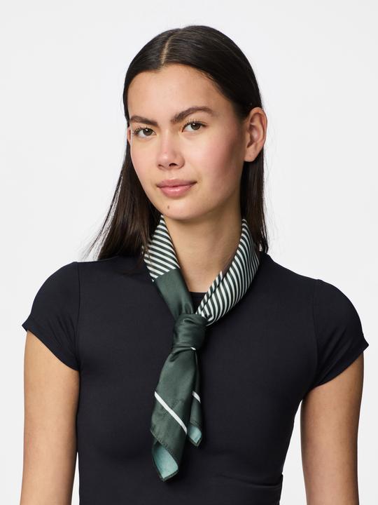 Image du produit Pieces PCMOLLY Schal