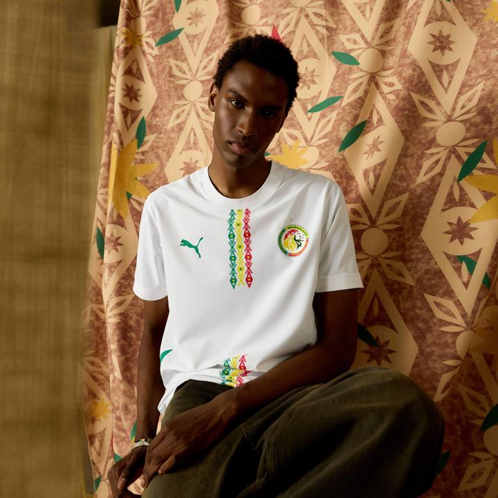 Actual product image Puma FSF Home Jersey Replica (M)