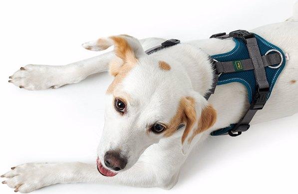 Produktbild Hunter Geschirr Maldon (M, Hund, Allgemein)