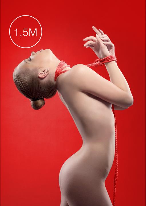 Actual product image Ouch! Kinbaku