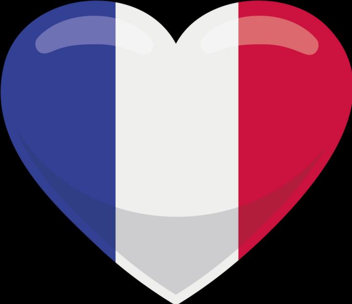 Actual product image Bügelbilder Bügelbild Herz Flagge Frankreich