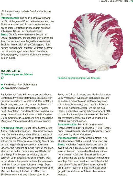 Immagine prodotto Das grosse Gemüse- und Obstgartenbuch (Tedesco, Gioacchino Mayer, 2025)