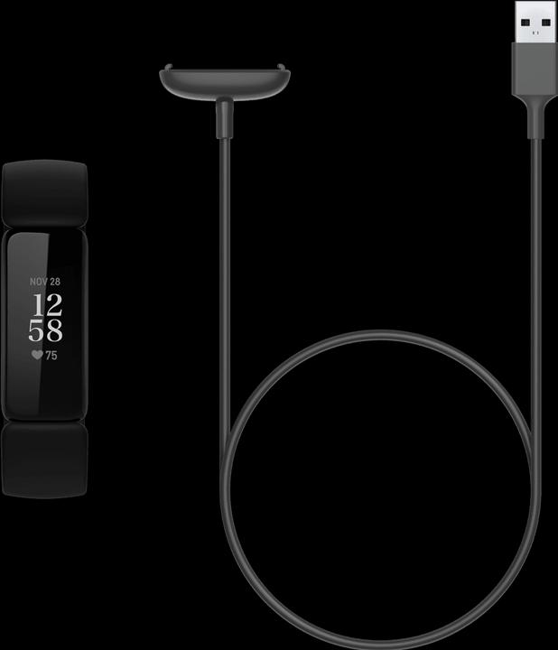 Actual product image Fitbit Retail Charging Cable
