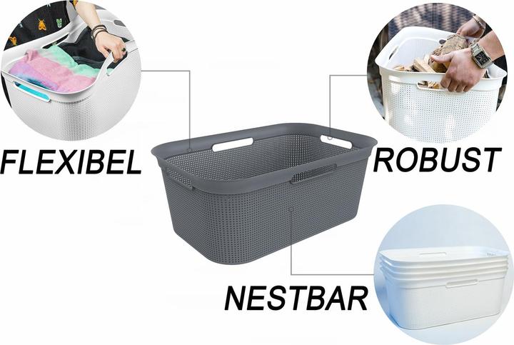 Image du produit Rotho Brises (41 l)