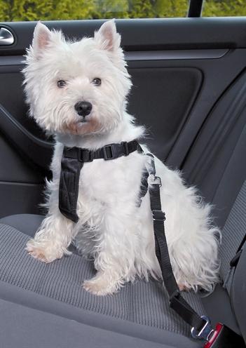 Actual product image Trixie Car harness (M, Dog, General)