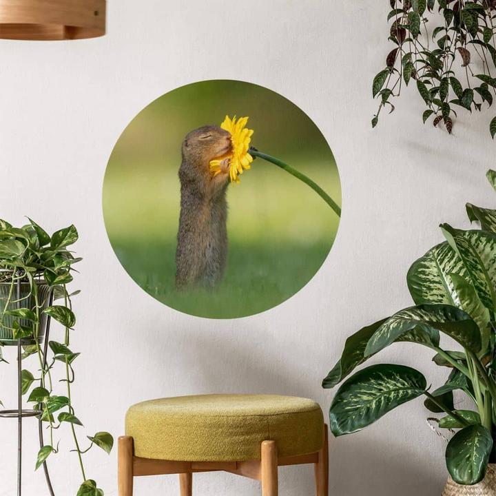 Produktbild Trenddeko van Duijn - Erdhörnchen riecht an Blume (Ø 30 cm)