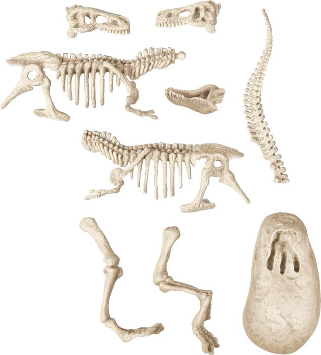 Actual product image Clementoni Science & Play Archaeological Game - T-Rex Fluo