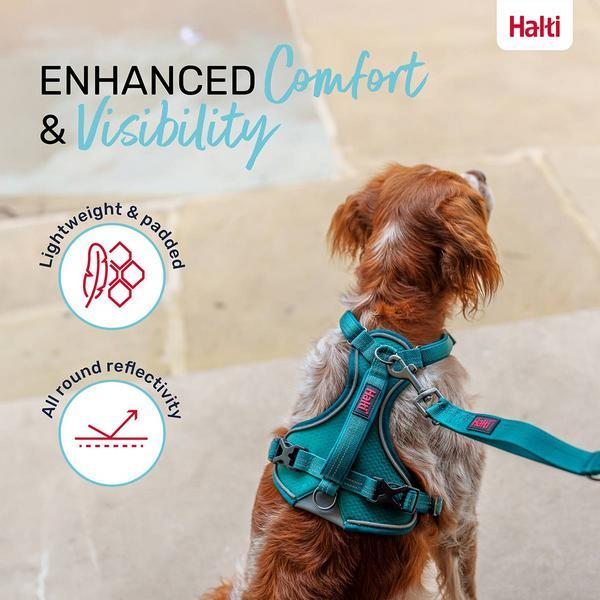 Image du produit Company of Animals Halti Anatomy XL Harnais pour chien (XL, Chien)