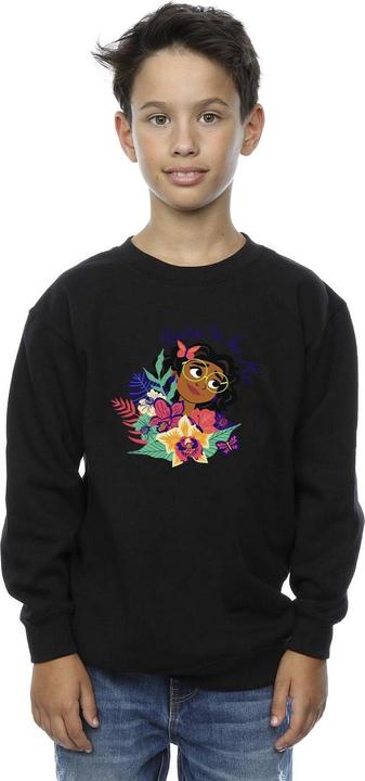 Actual product image Disney Boys Encanto Born To Be Me Sweatshirt (152, 158)